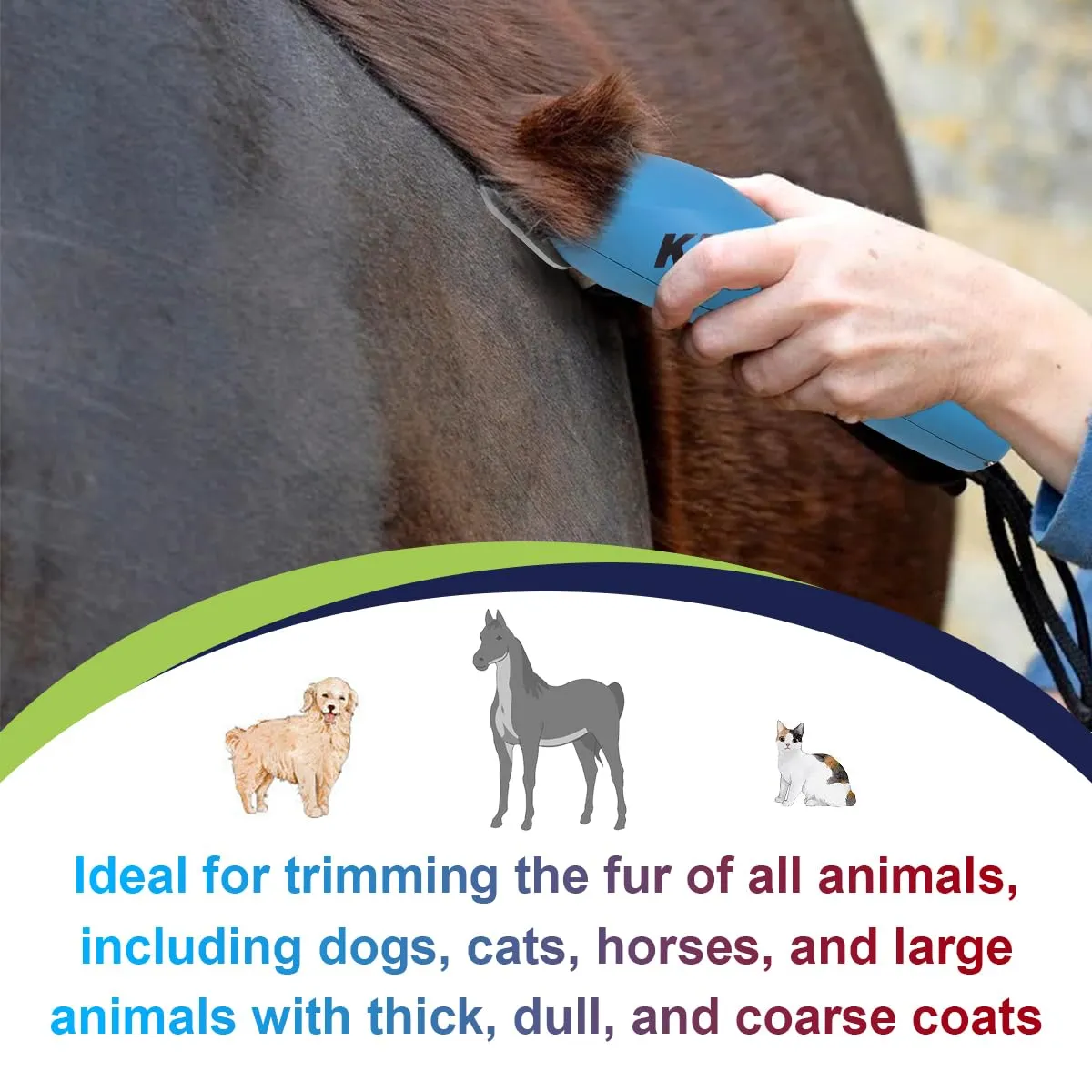 10W wide, removable blades for pet grooming, compatible with Heiniger/Moser Max45/Andis/Oster A5 clippers, cutting length 1/16 inch (1.5mm) 10w 1.5mm