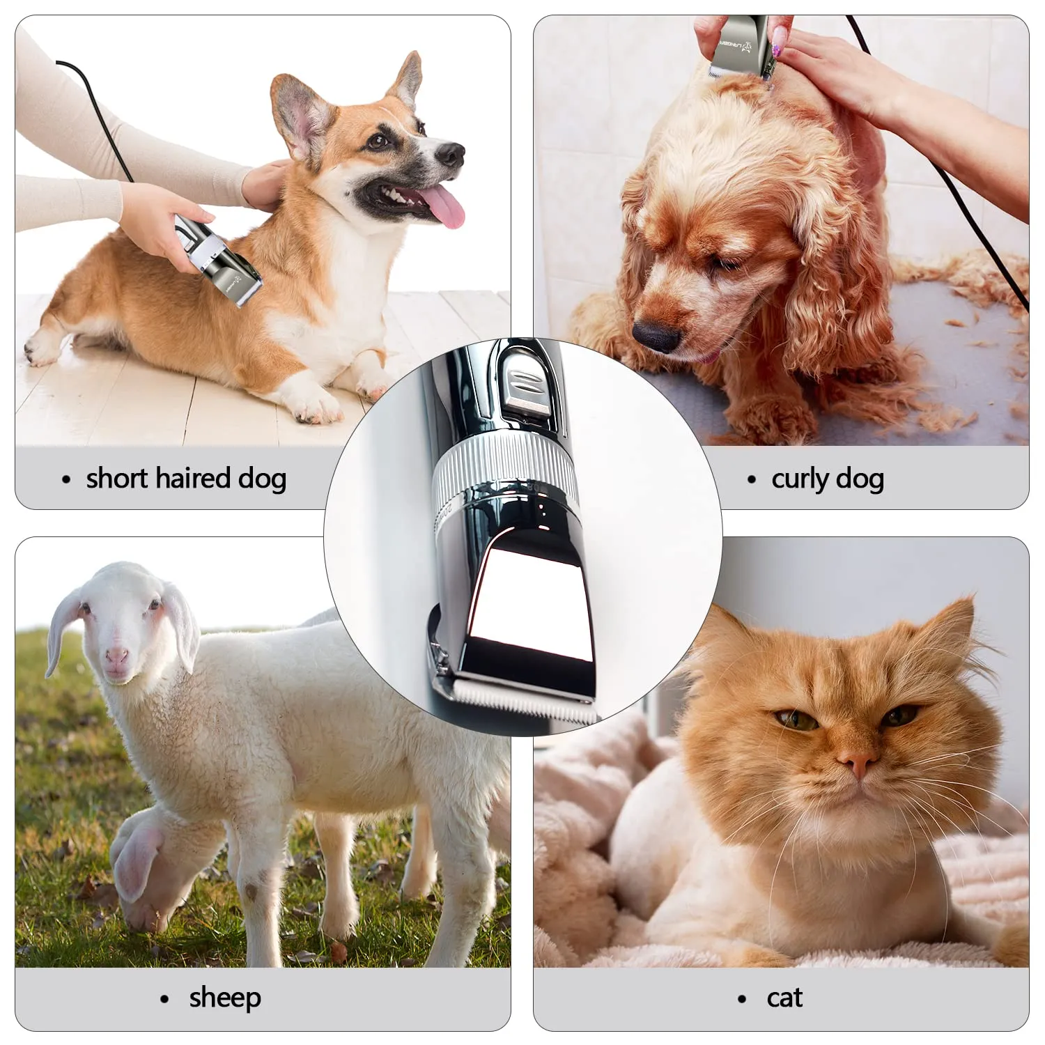 12V Professional Dog Clippers for Grooming, Electric Sheep Shears Pet Grooming Clippers for Thick Coat Heavy Duty Animal Hair Fur Trimmers Shaver Silver