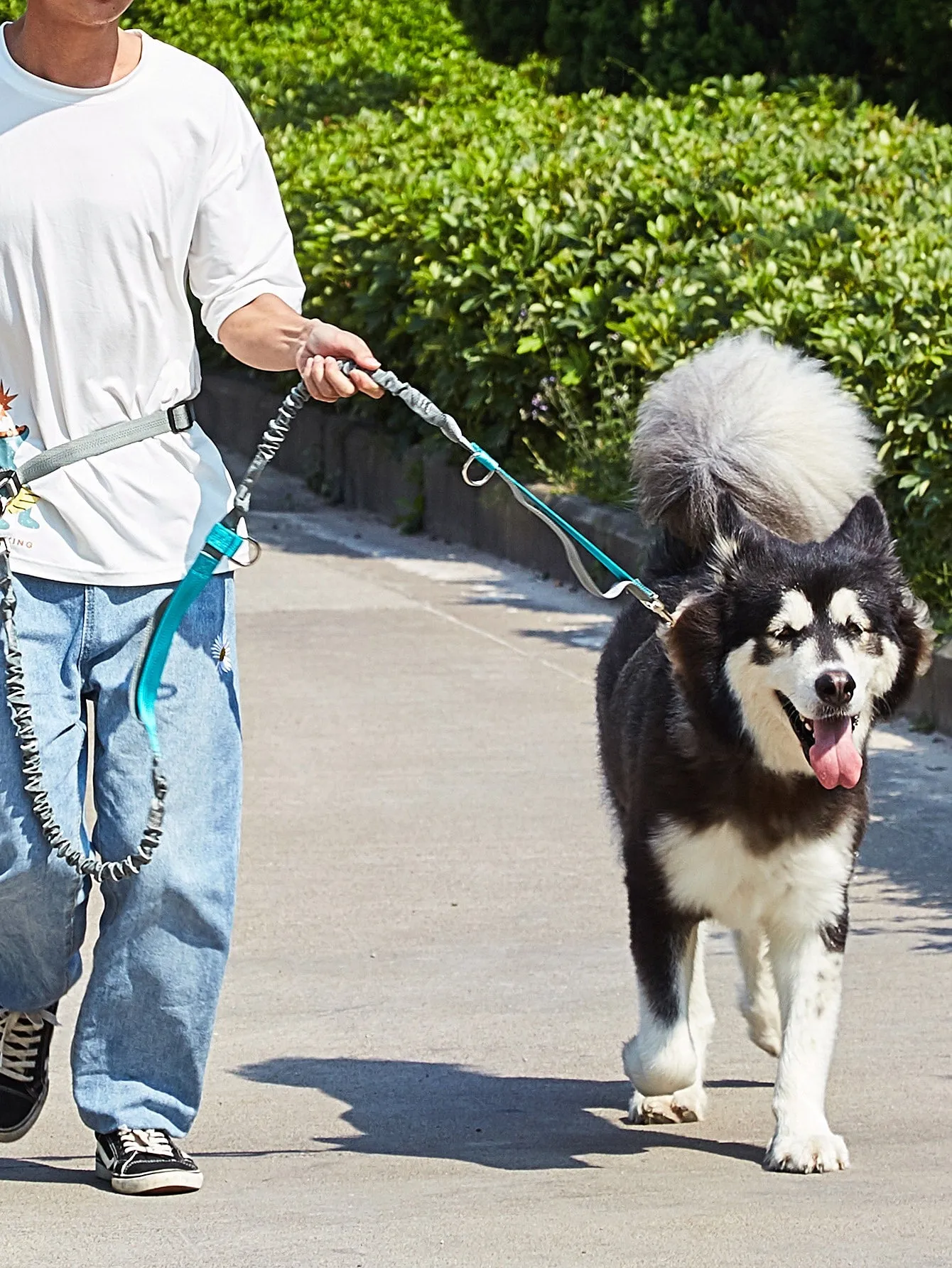 1pc Pet Outdoor Running Leash With Adult Belt