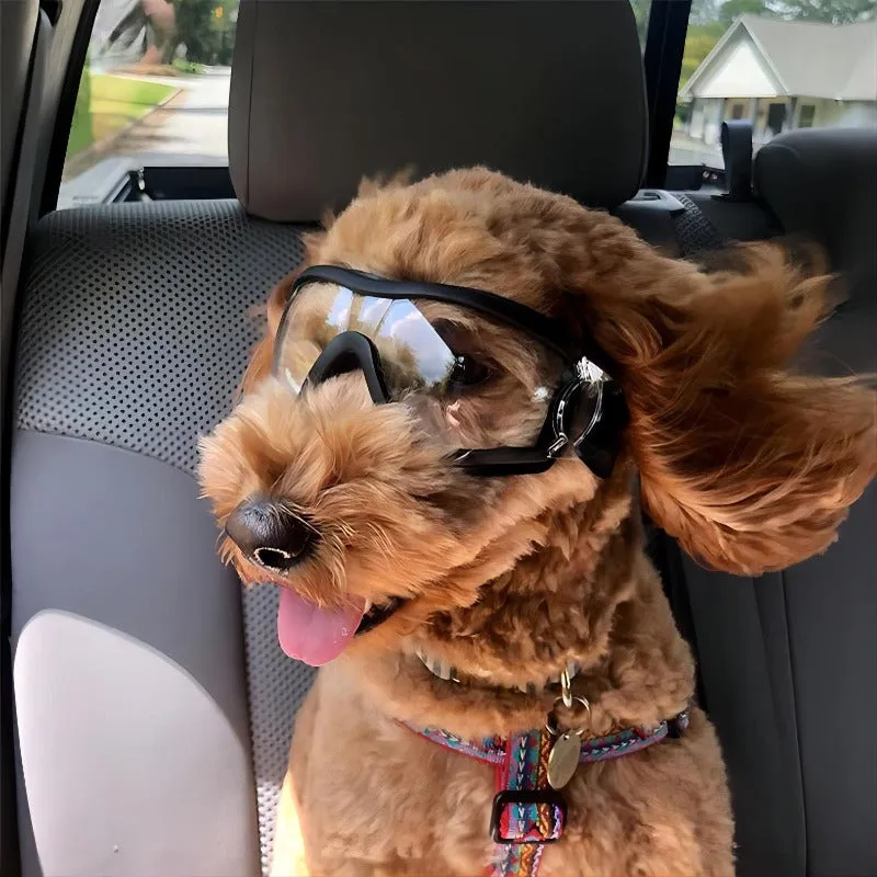 Adjustable Pet Dog Goggles Sunglasses Anti-UV Sunglasses Waterproof Windproof Sunglasses