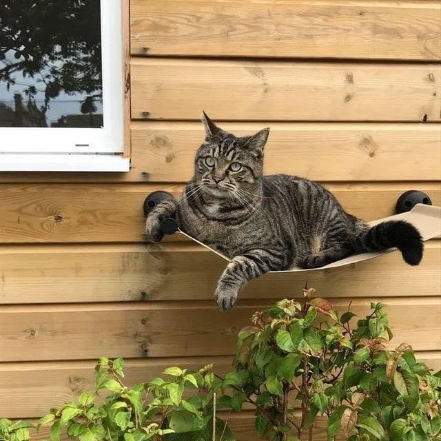 Catipilla Wall-Mounted Cat Hammock