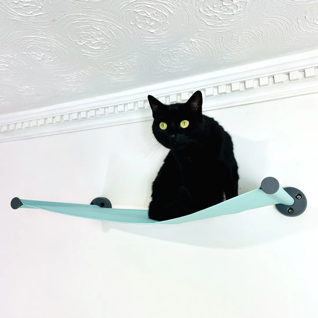 Catipilla Wall-Mounted Cat Hammock
