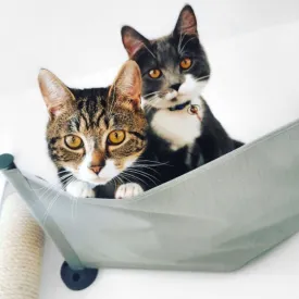 Catipilla Wall-Mounted Cat Hammock
