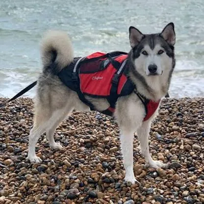 Crewsaver Pet Float