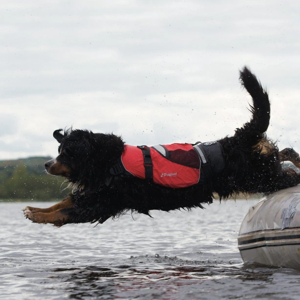 Crewsaver Pet Float