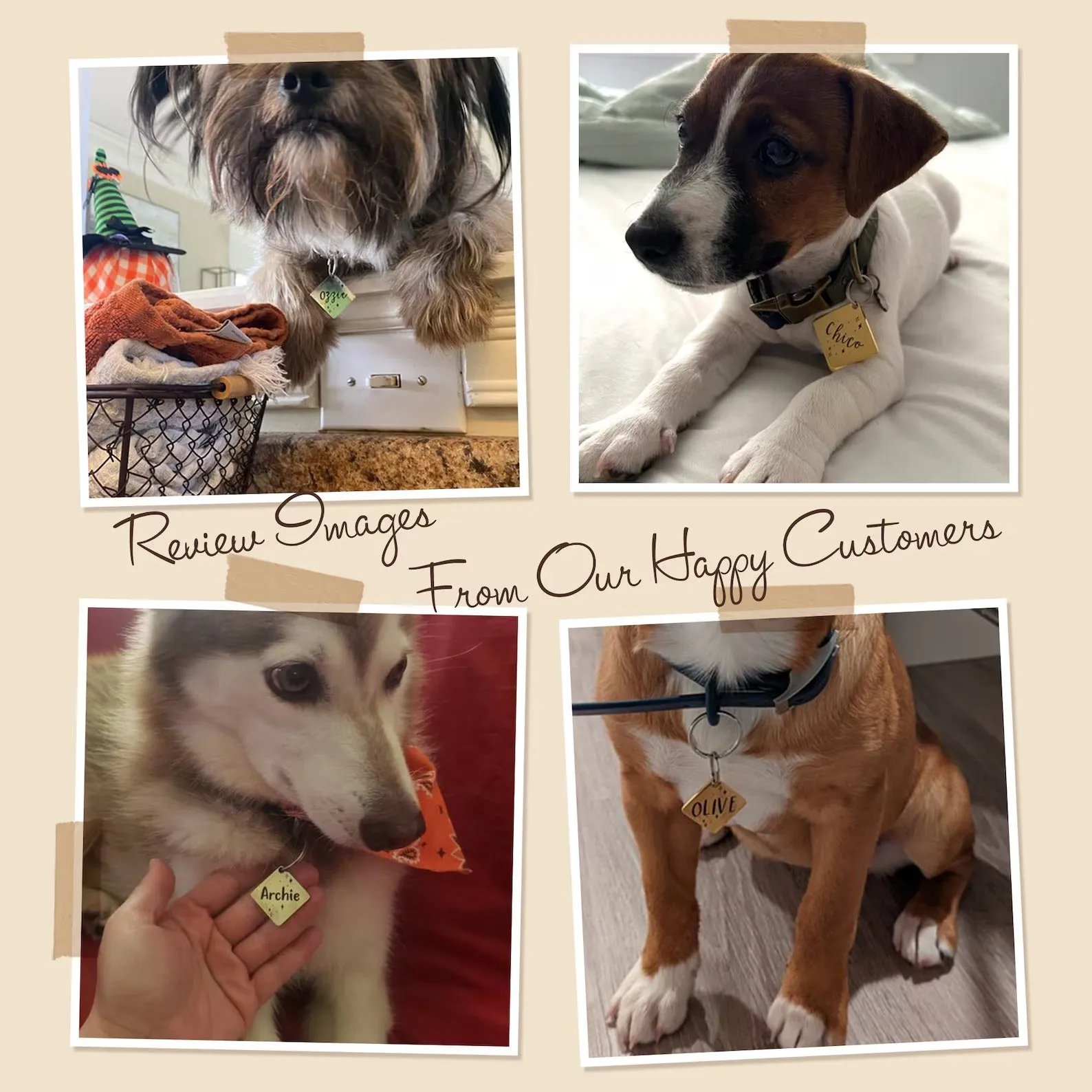 Custom Name Funny Design Pet-Dog Tag