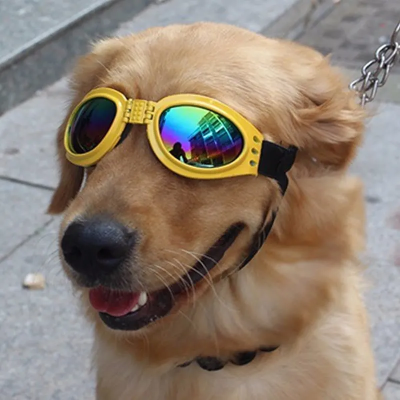 Dog UV Sunglasses Foldable Glasses Windproof - 5 Color Options for Medium to Large Dogs