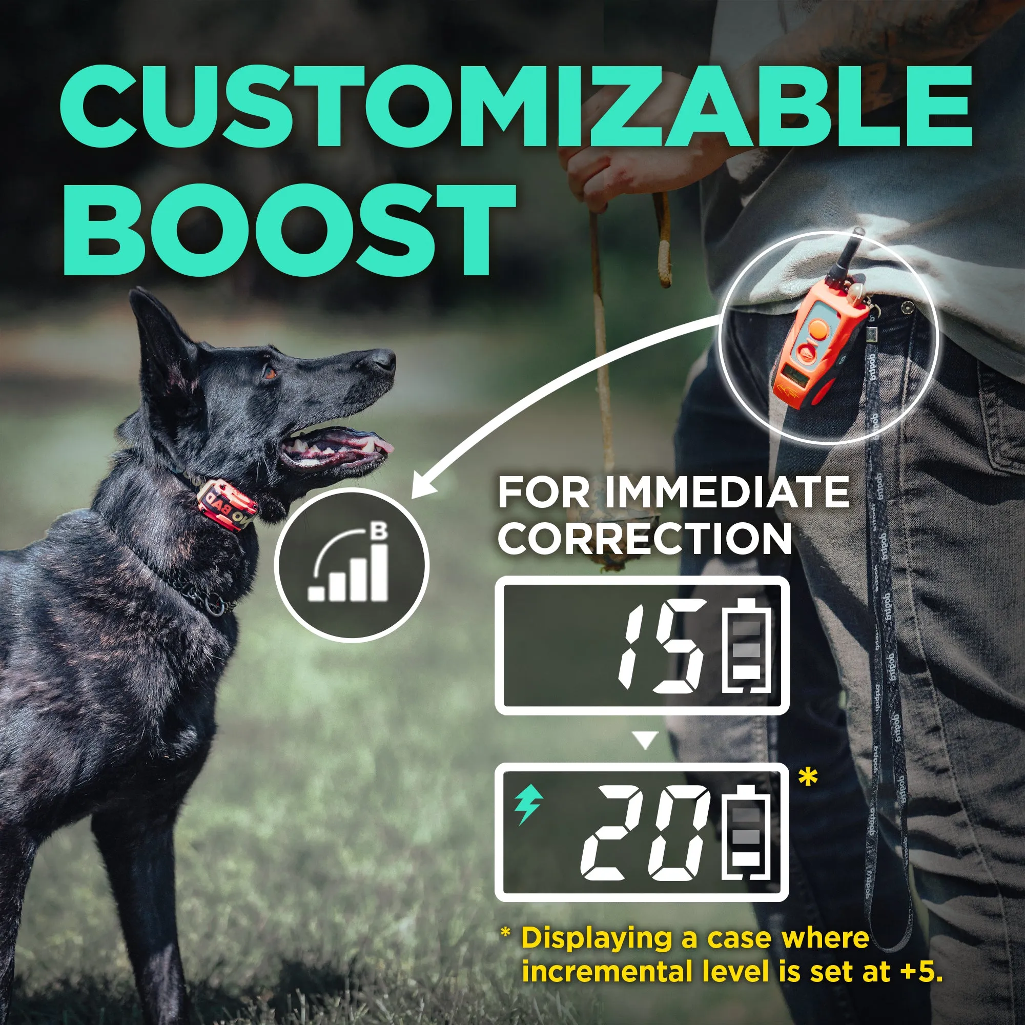 Dogtra Tom Davis 280CR with Boost & Lock