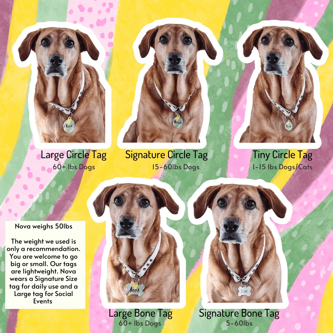 Exploring Planets Circle Pet Tag