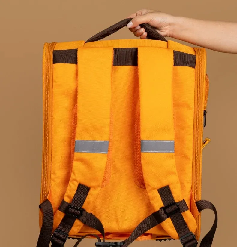 Garfield Bag for Cat