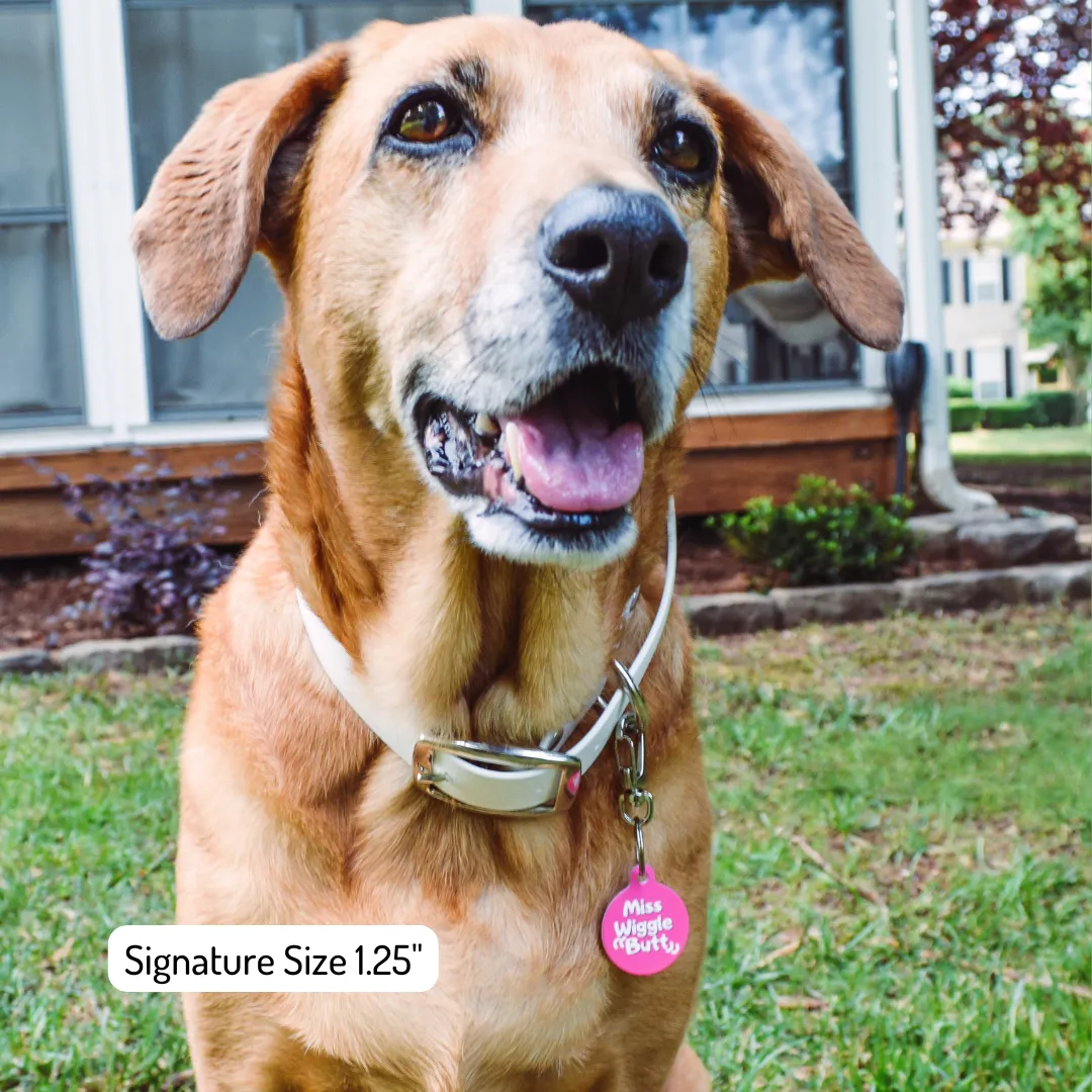 Grand Experto Del Excape Spanish Funny Dog Tag