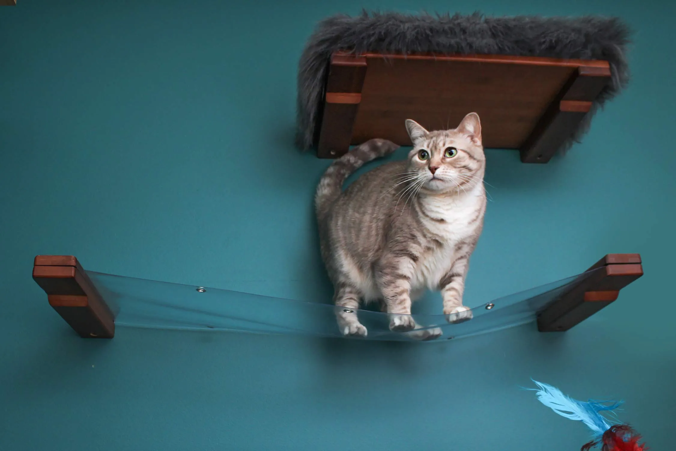 Invisible Cat Wall Hammock