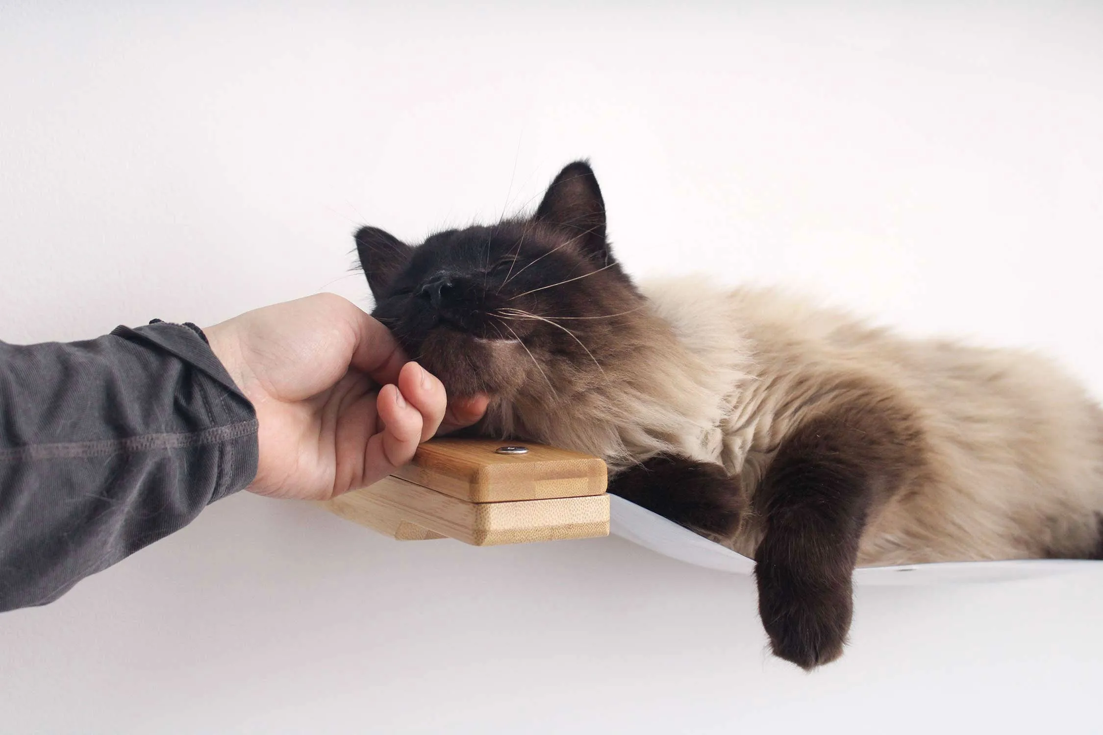 Invisible Cat Wall Hammock