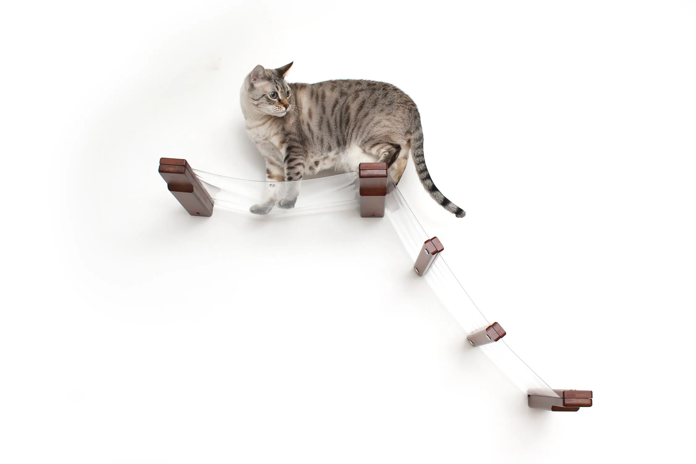 Invisible Lift - Cat Wall Ramp with Hammock Bed