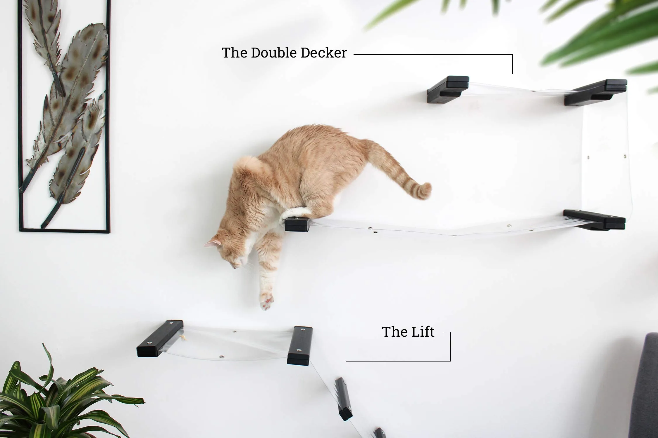Invisible Lift - Cat Wall Ramp with Hammock Bed