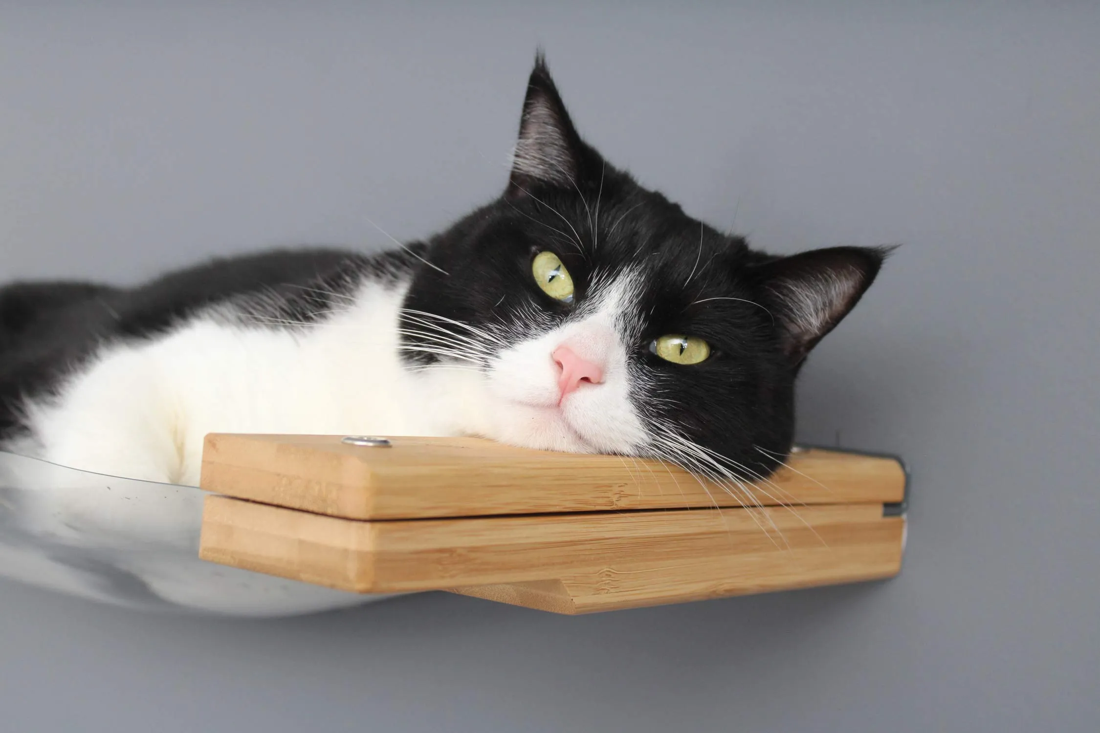 Invisible Lift - Cat Wall Ramp with Hammock Bed