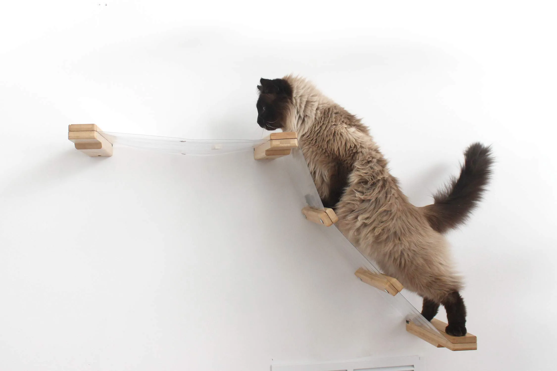 Invisible Lift - Cat Wall Ramp with Hammock Bed