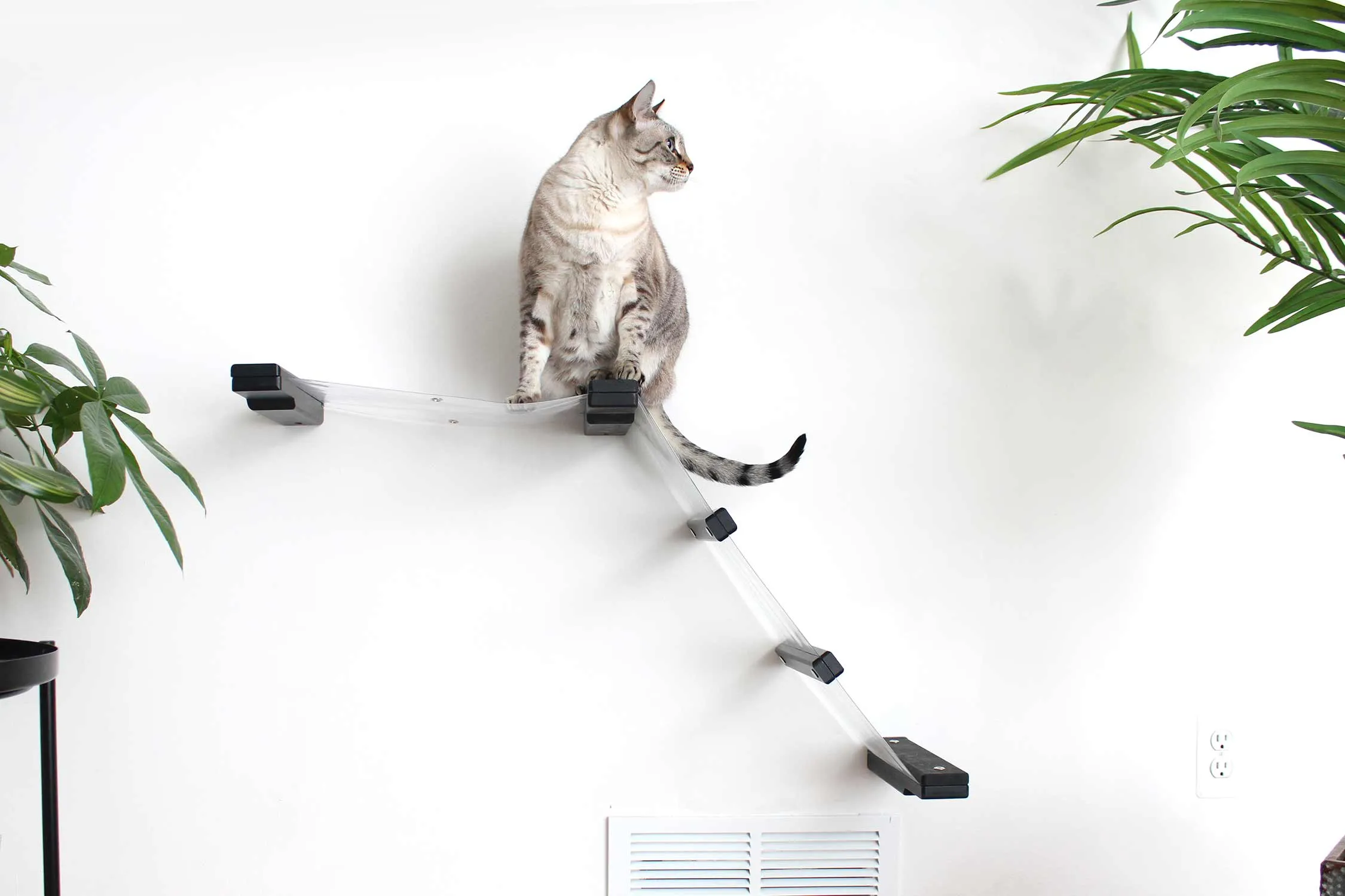 Invisible Lift - Cat Wall Ramp with Hammock Bed