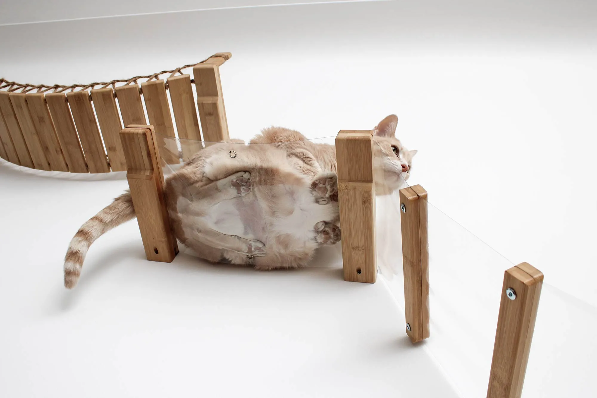 Invisible Lift - Cat Wall Ramp with Hammock Bed