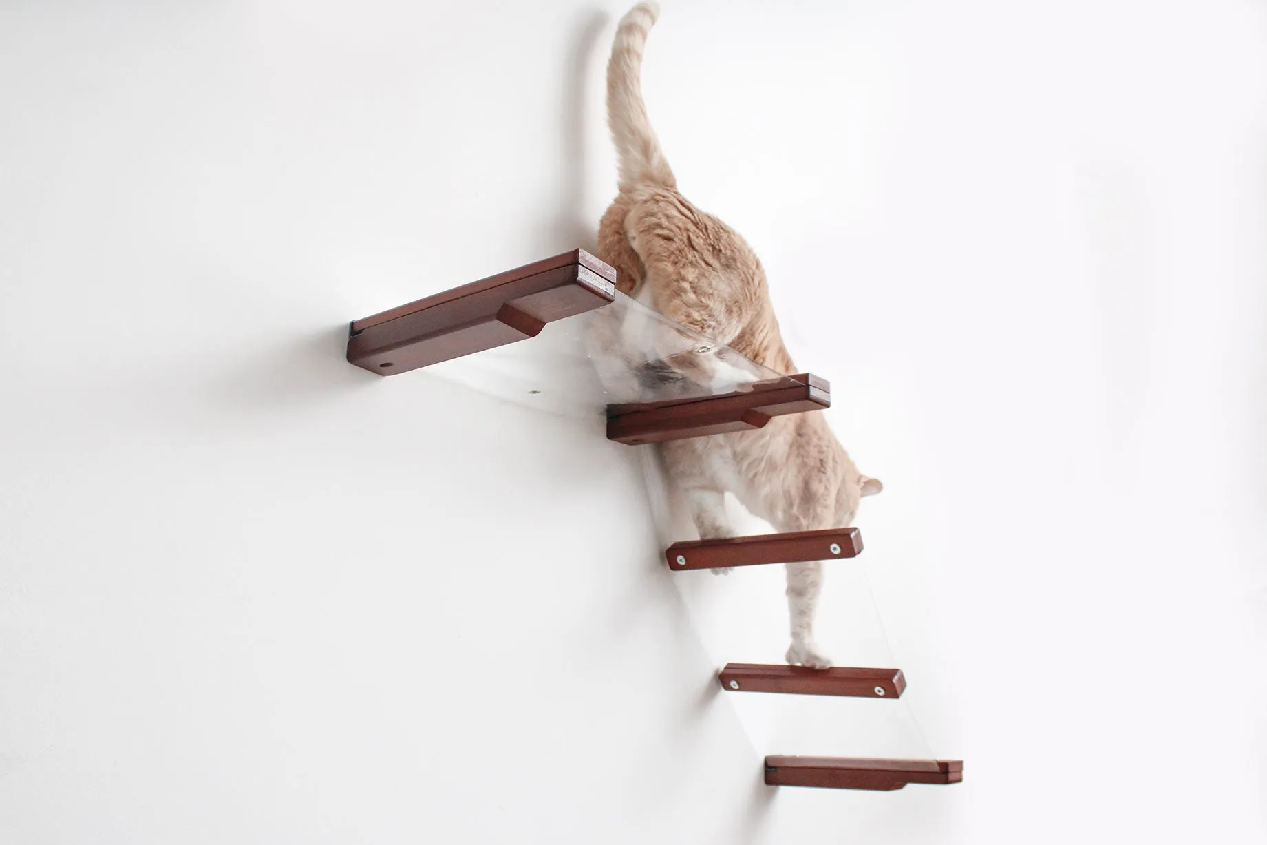 Invisible Lift - Cat Wall Ramp with Hammock Bed