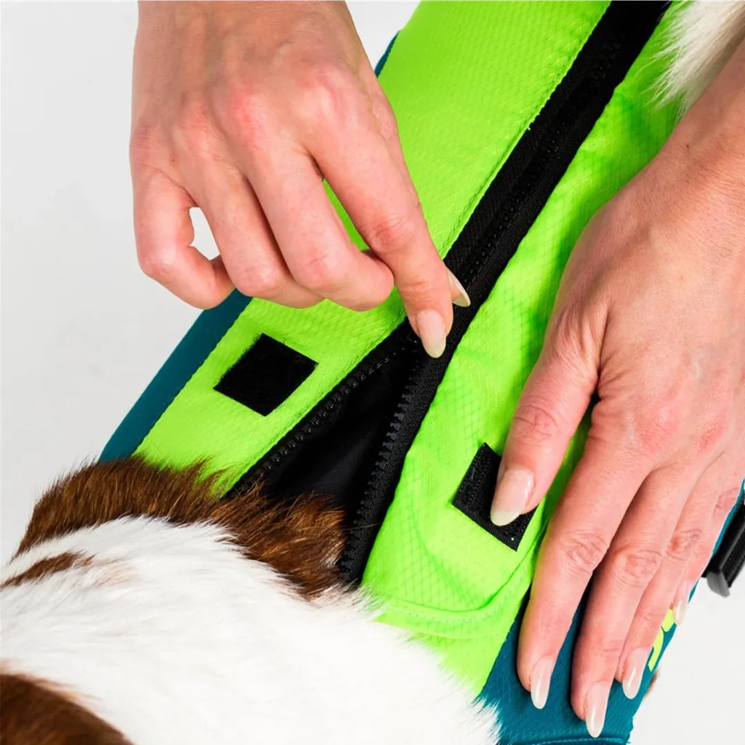 Jobe Pet Lifejacket
