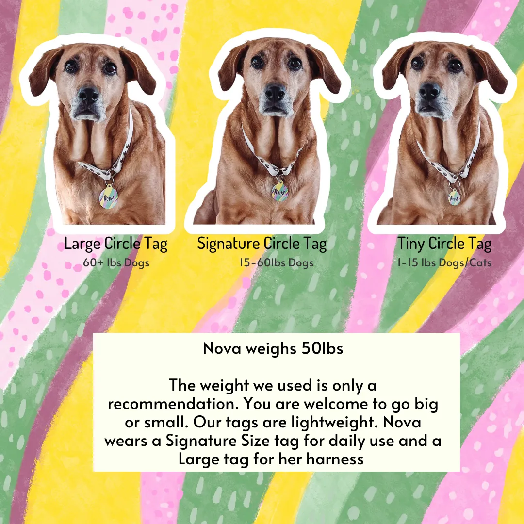 Long Dog Short Fuse Funny Dog Tag