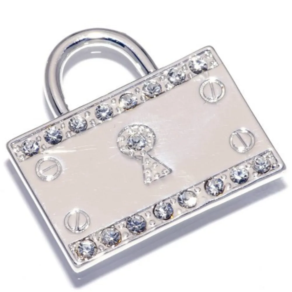 Padlock Pet ID Tag