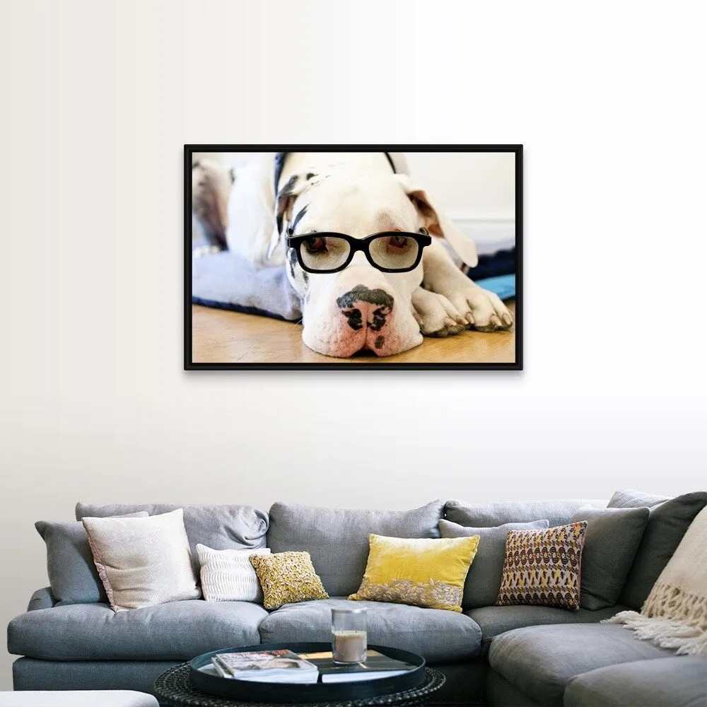 "Great Dane wearing sunglasses" Black Float Frame Canvas Art