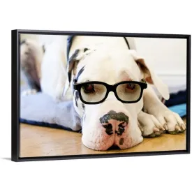 "Great Dane wearing sunglasses" Black Float Frame Canvas Art