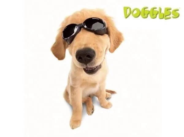 Racing Flames Doggles ILS Protective Dog Eyewear