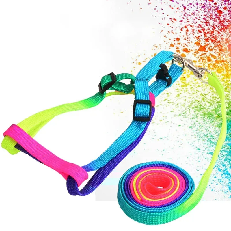 Rainbow Pet Collar Harness & Leash Set – Colorful Soft and Durable Nylon Walking Harness