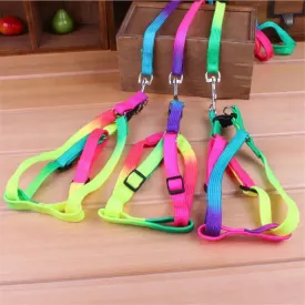 Rainbow Pet Collar Harness & Leash Set – Colorful Soft and Durable Nylon Walking Harness