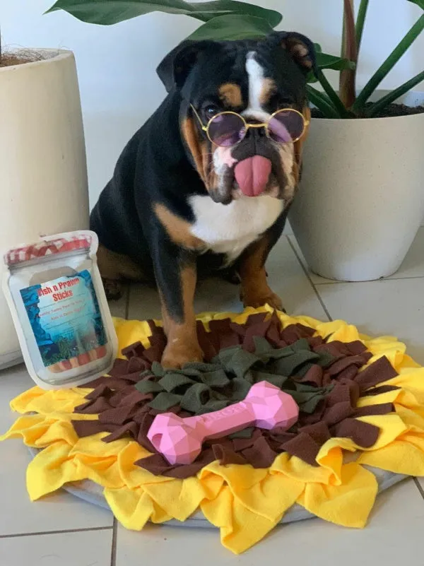 Round Fashion Dog Sunglasses