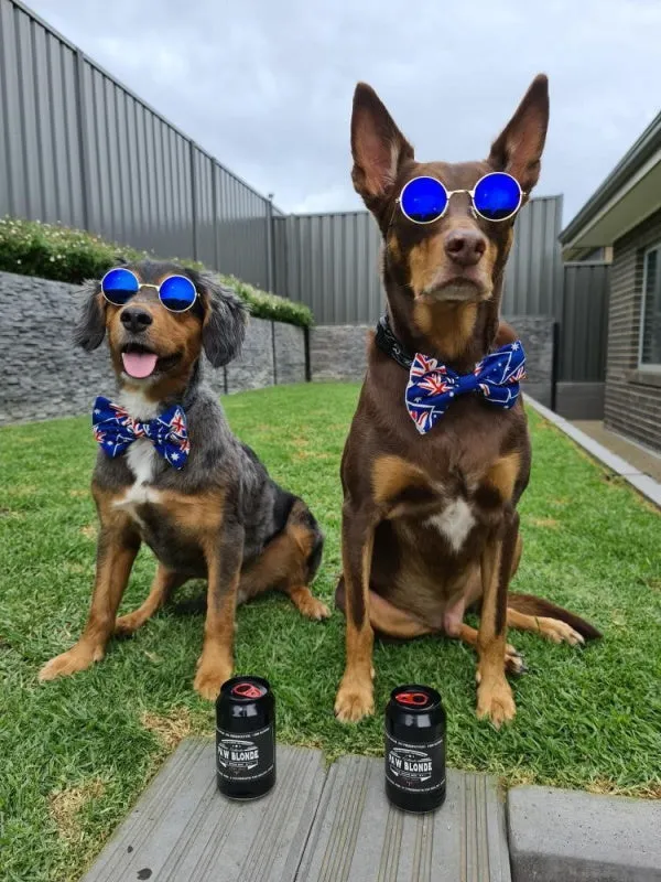Round Fashion Dog Sunglasses