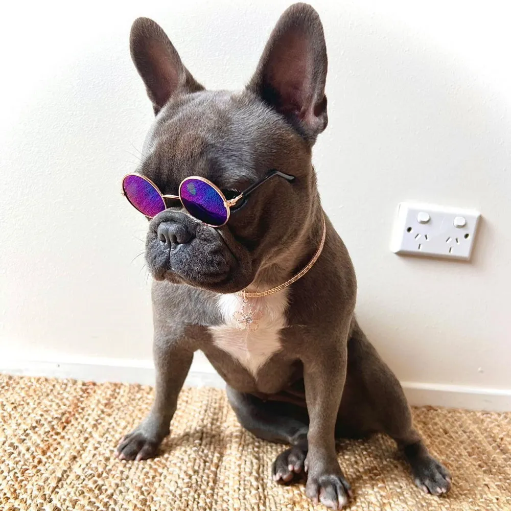 Round Fashion Dog Sunglasses