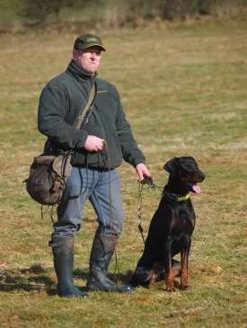 Stephen Bulled's Essential Dog Training Kit
