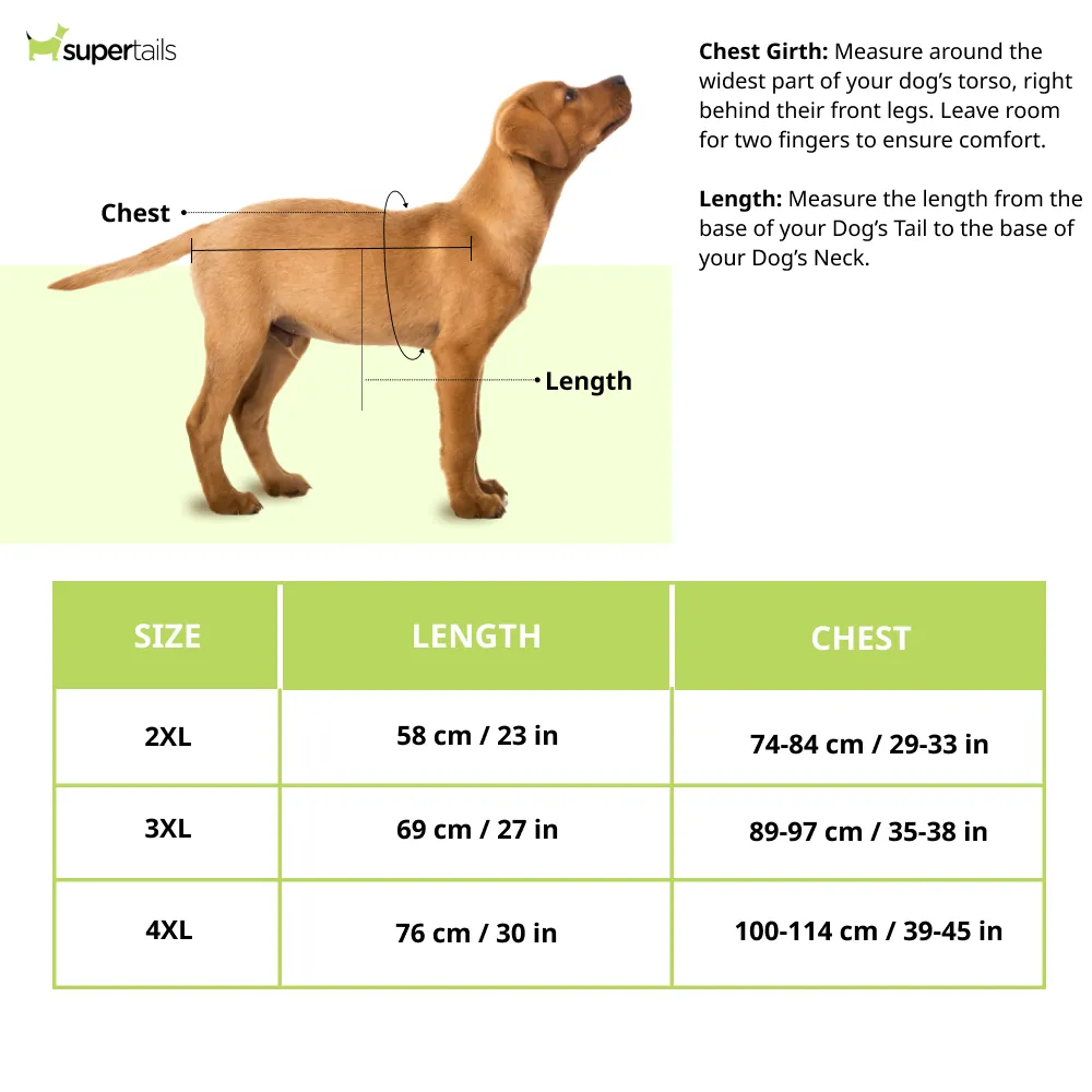 Talking Dog Club Double Trouble Reversible Jackets for Dogs (Blue/Green)