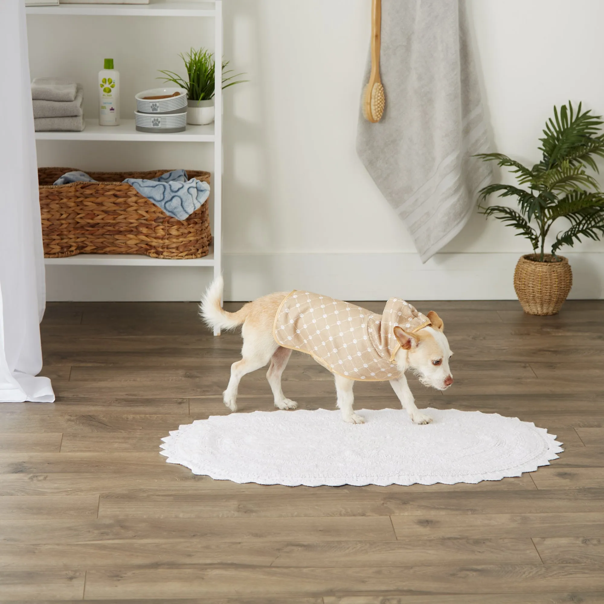 Taupe Printed Trellis Paw Print  X-Small, up to 10 Lbs