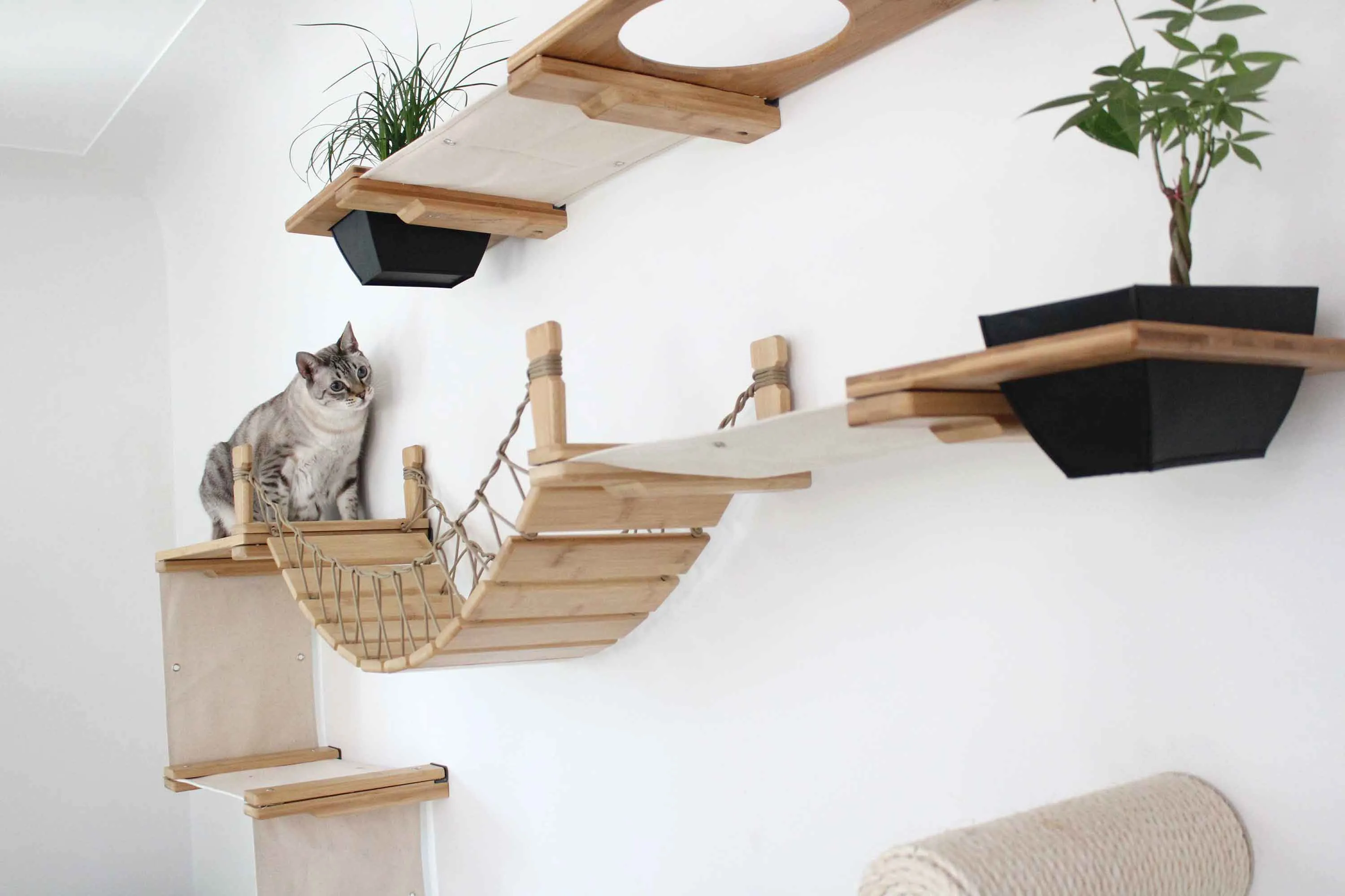The Juggernaut - Indoor Cat Playground for Wall