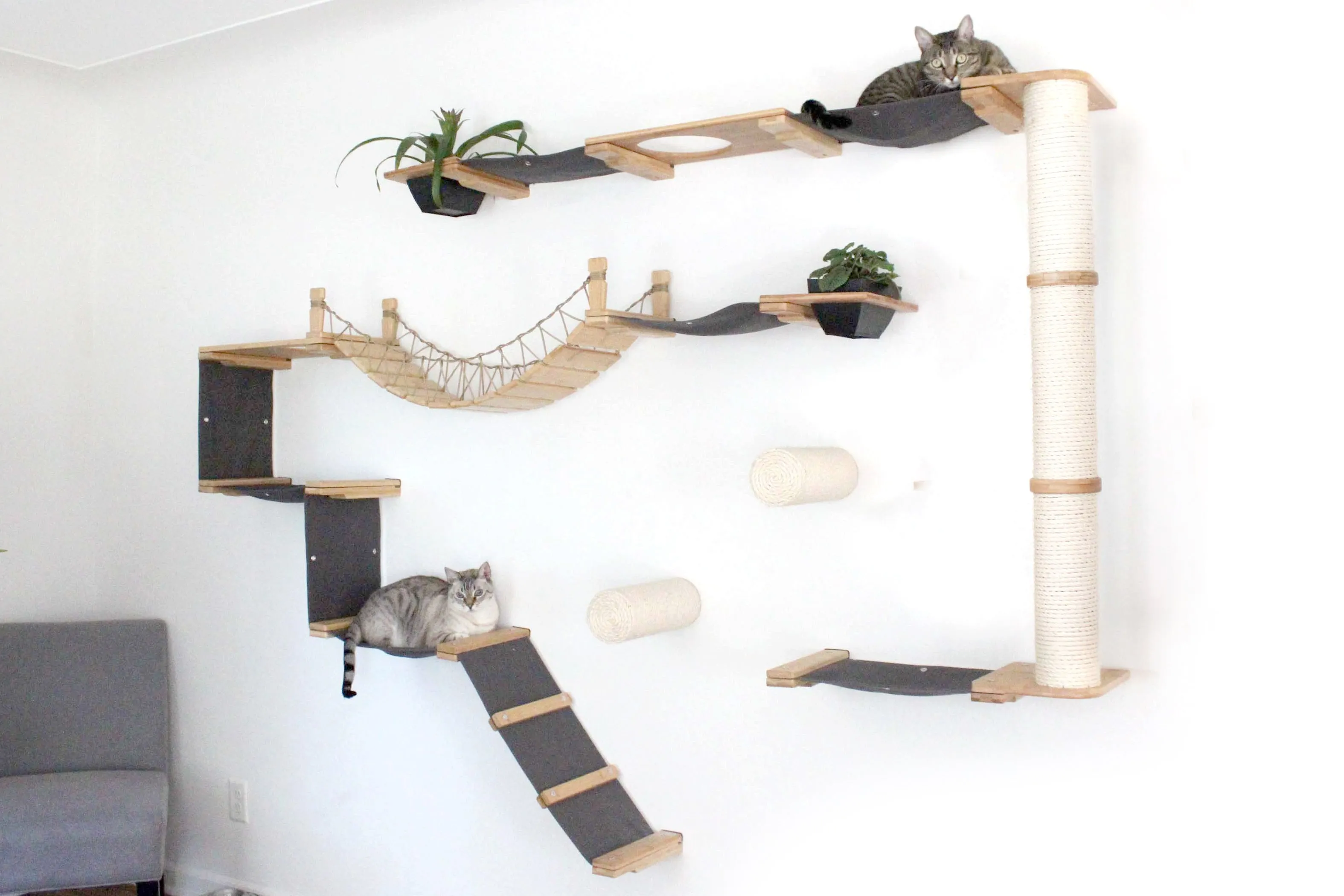 The Juggernaut - Indoor Cat Playground for Wall