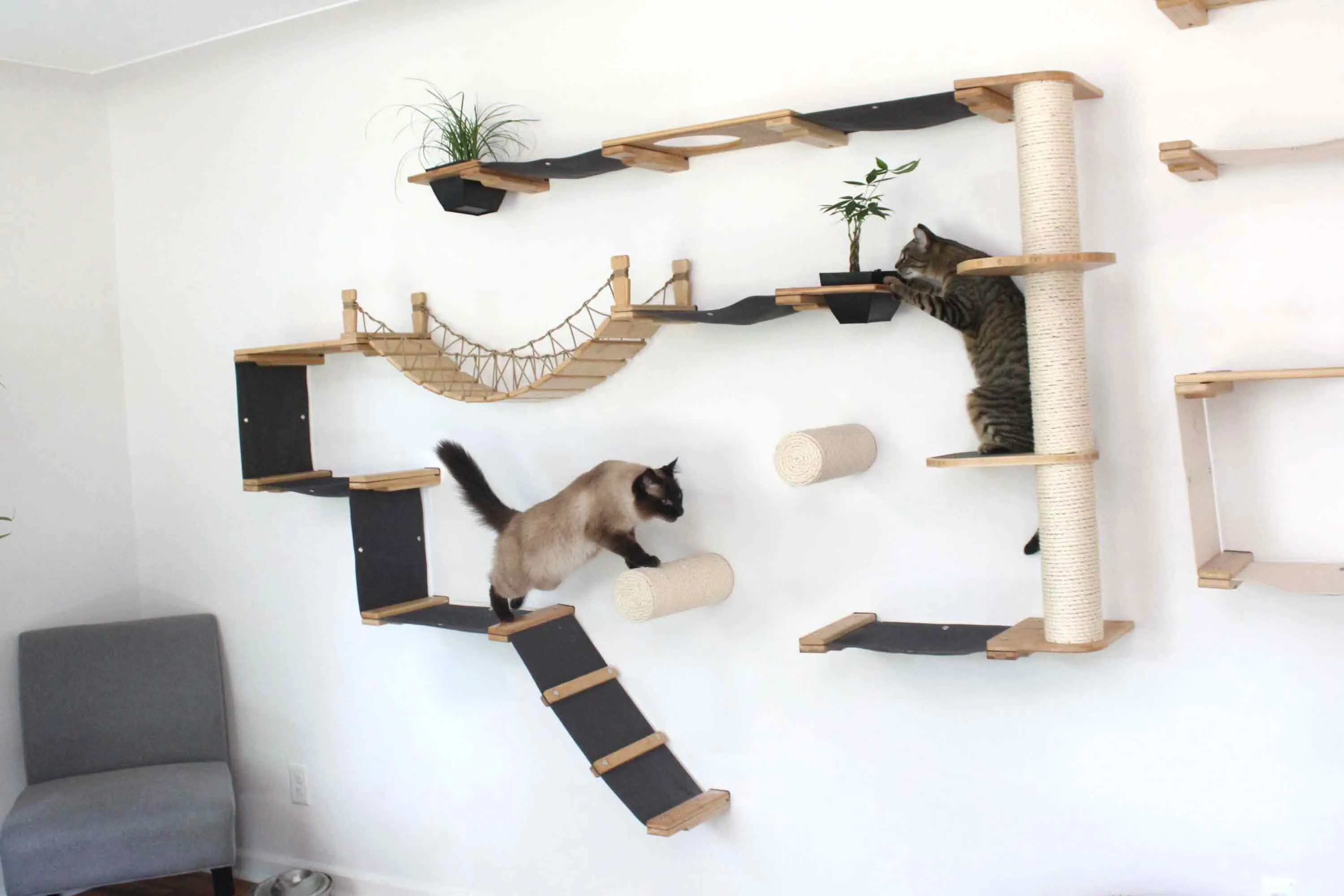 The Juggernaut - Indoor Cat Playground for Wall