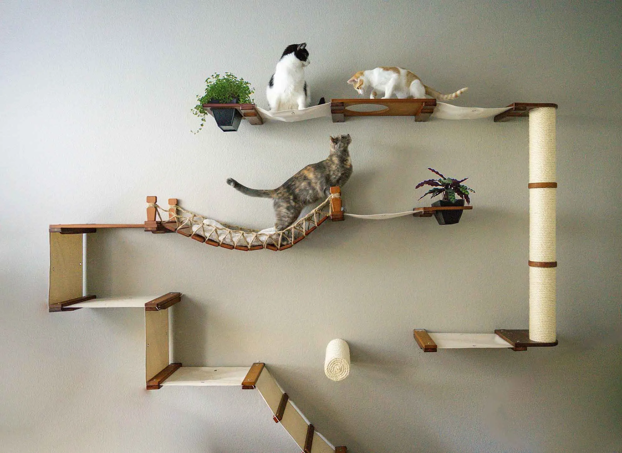 The Juggernaut - Indoor Cat Playground for Wall