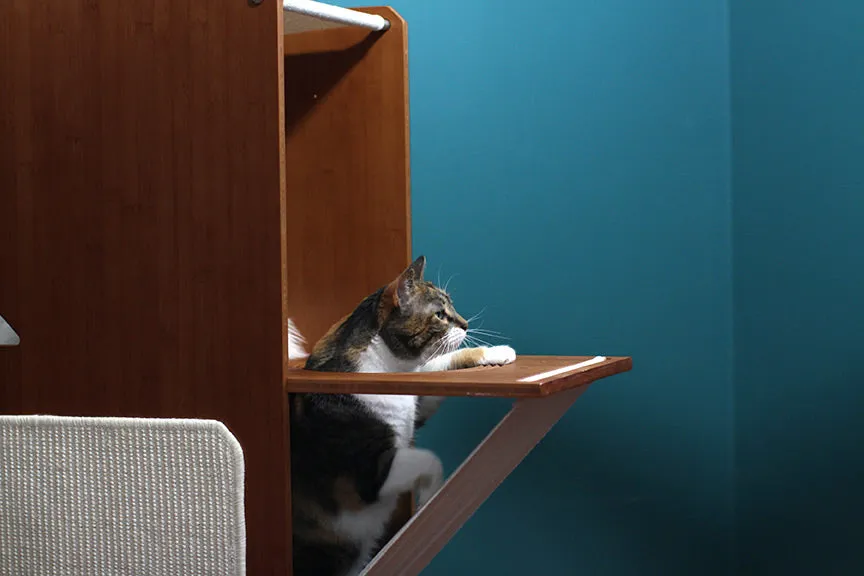 The Overlook - Sturdy - Bamboo Cat Tree