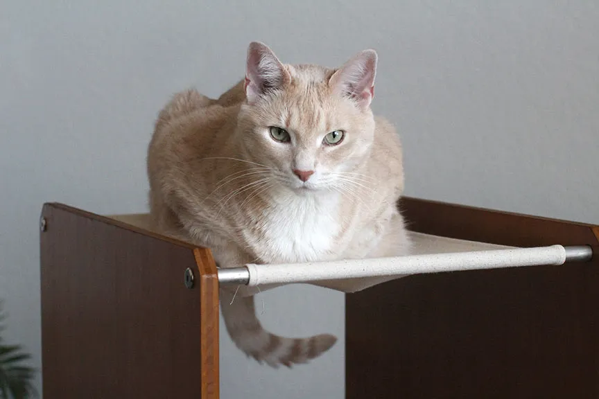 The Overlook - Sturdy - Bamboo Cat Tree