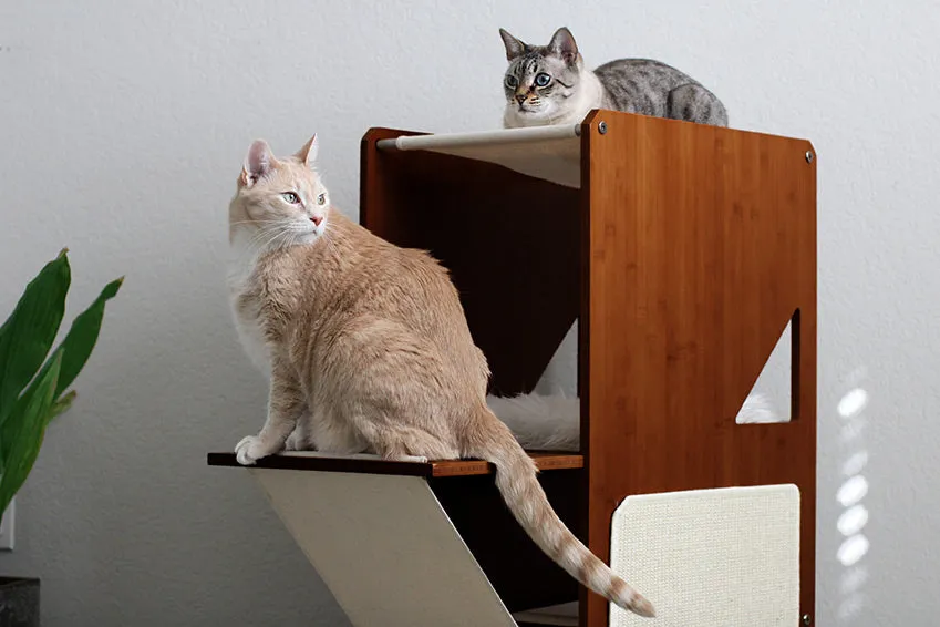 The Overlook - Sturdy - Bamboo Cat Tree