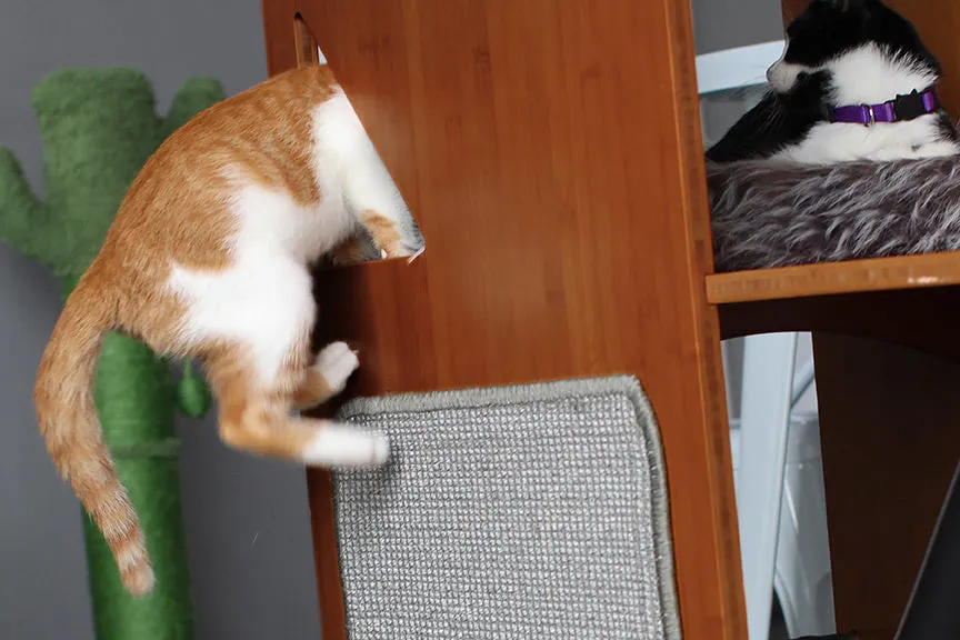 The Overlook - Sturdy - Bamboo Cat Tree