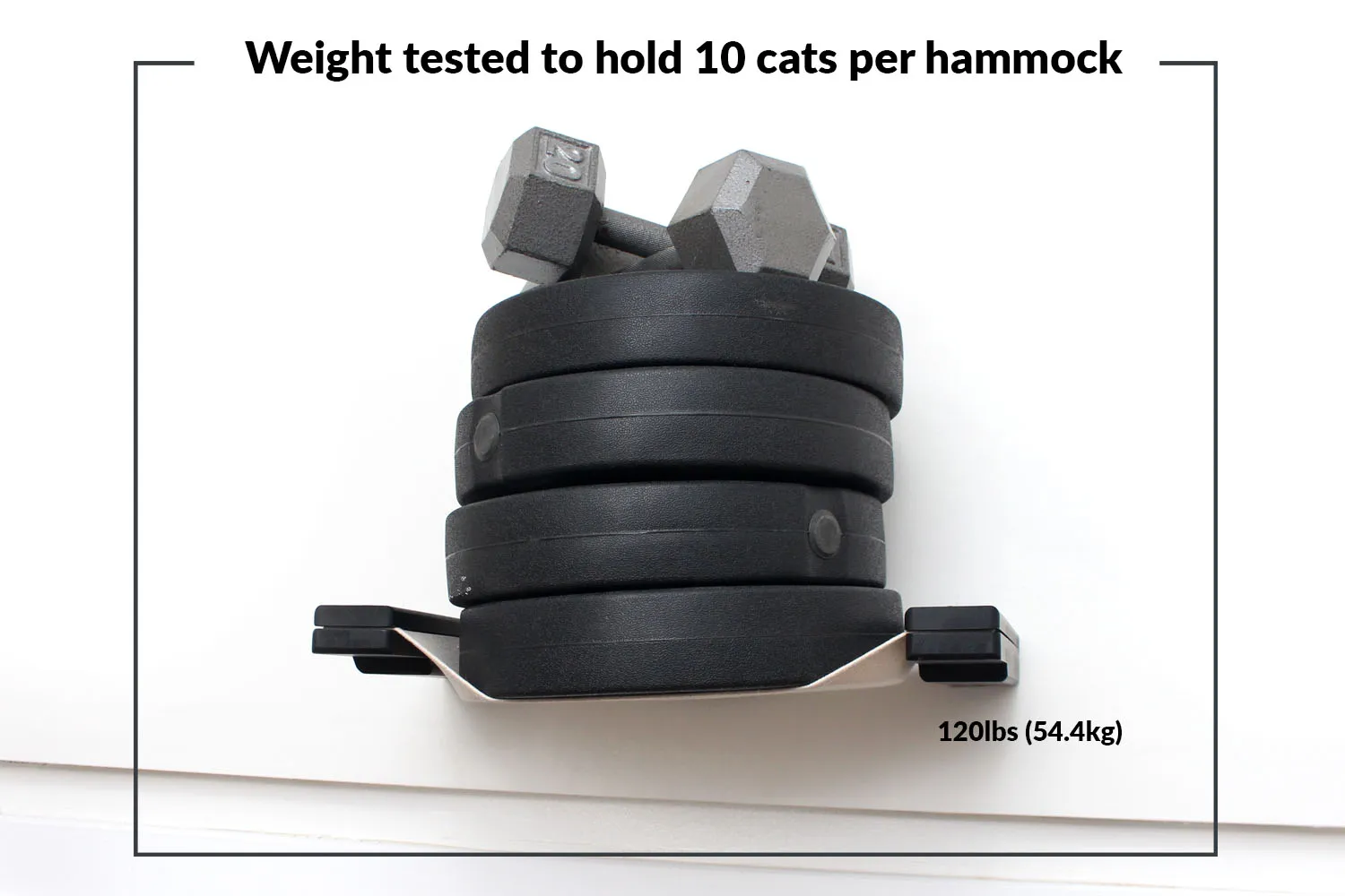 The Raceway - Wall Mounted Cat Hammock