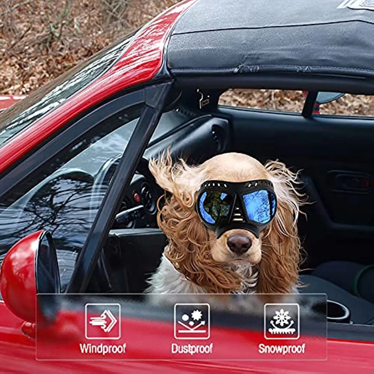 UV Protective Sunglasses for All Breed of Dogs
