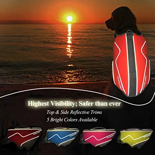 Vivaglory Life Jacket for Dogs, Comfortable Neoprene Dog Life Jacket with Superior Buoyancy & Rescue Handle for Small to Medium Dogs, Orange M