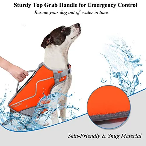 Vivaglory Life Jacket for Dogs, Comfortable Neoprene Dog Life Jacket with Superior Buoyancy & Rescue Handle for Small to Medium Dogs, Orange M